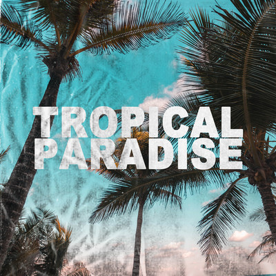 Tropical Paradise/Feliberty PhD