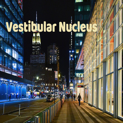 アルバム/Vestibular Nucleus/Vermis ego