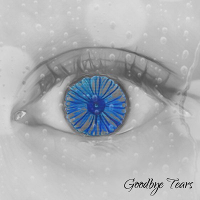 Goodbye tears/the Stellax