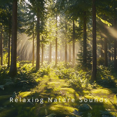 Ocean Dreams Relaxing Waves for Restful Nights/Relaxing Nature Sounds