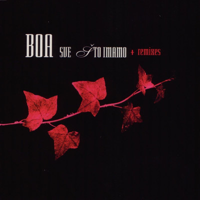 アルバム/Sve Sto Imamo (EP Remixes)/BOA