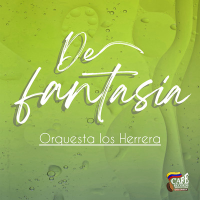 Mi Fantasia/Orquesta Los Herrera