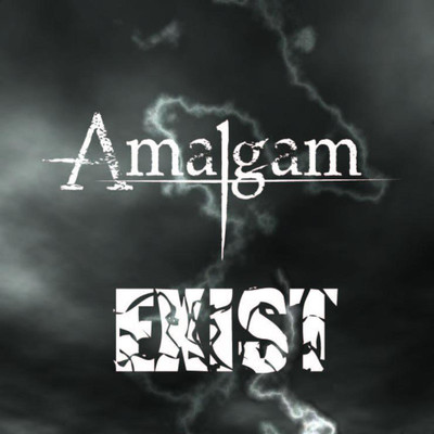 EXIST/Amalgam