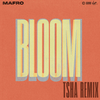シングル/Bloom (featuring Ell Murphy)/MAFRO
