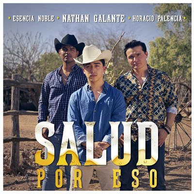 シングル/Salud Por Eso/Nathan Galante／Horacio Palencia／Esencia Noble