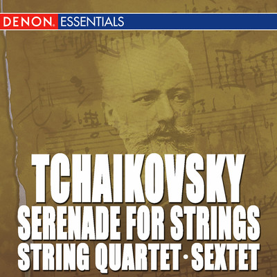 Serenade for Strings in C Major, Op. 48: III. Elegie: Larghetto elegiaco/Alfred Scholz／Southgerman Philharmonic Orchestra