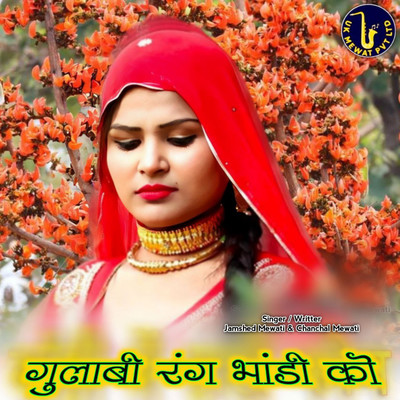 アルバム/Gulabi Rang Bhadi Ko/Aslam Mewati, Jamshed Mewati & Chanchal Mewati