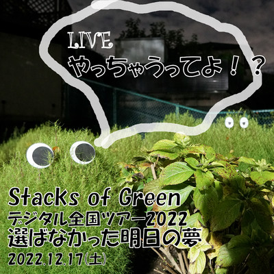 アルバム/デジタル全国ツアー2022〜選ばなかった明日の夢〜 2022.12.17/Stacks of Green