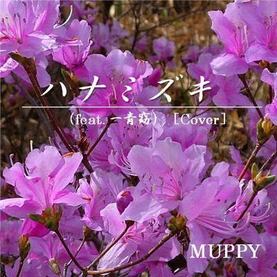 ハナミズキ (feat. 一青窈) [Cover]/MUPPY