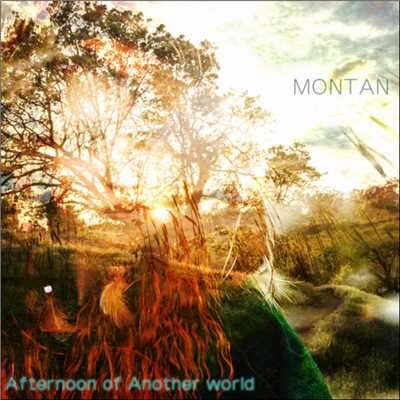 Afternoon of Another world/MONTAN