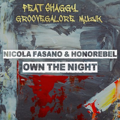 シングル/Own The Night (Codeman Mix) [feat. Shaggy & GrooveGalore Muzik]/Nicola Fasano & Honorebel