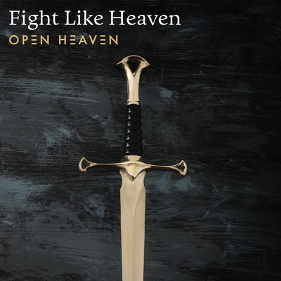 シングル/Fight Like Heaven (Live)/Open Heaven
