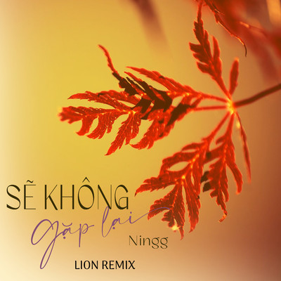 シングル/Se Khong Gap Lai (Lion Remix)/Ningg