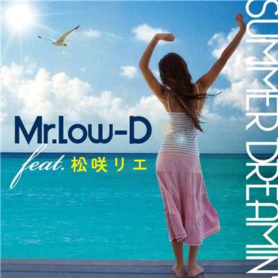 SUMMER DREAMIN' (feat. 松咲リエ)/Mr. Low-D