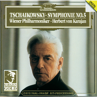 Tchaikovsky: 交響曲 第5番 ホ短調 作品64 - 第1楽章: Andante - Allegro con anima/ウィーン・フィルハーモニー管弦楽団／ヘルベルト・フォン・カラヤン