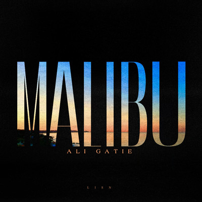 シングル/Malibu/Ali Gatie
