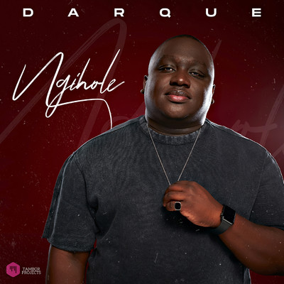 アルバム/Ngihole/Darque