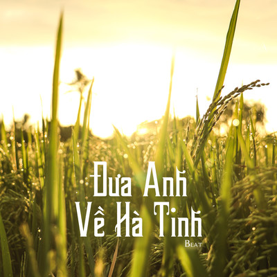 Dua Anh Ve Ha Tinh (Beat)/NS Records
