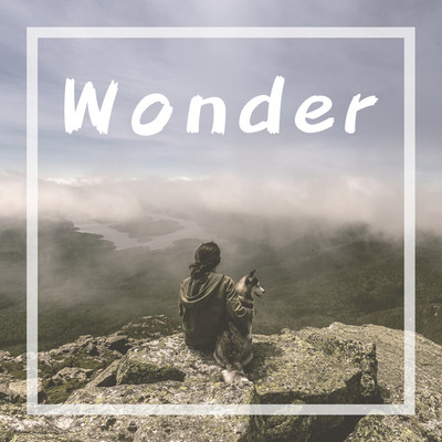 アルバム/Wonder/JAZANIXA