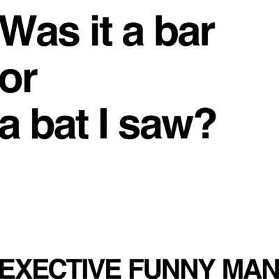 アルバム/Was it a bar or a bat I saw？/EXECTIVE FUNNY MAN