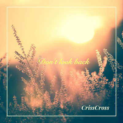 シングル/Don't Look Back/CrissCross