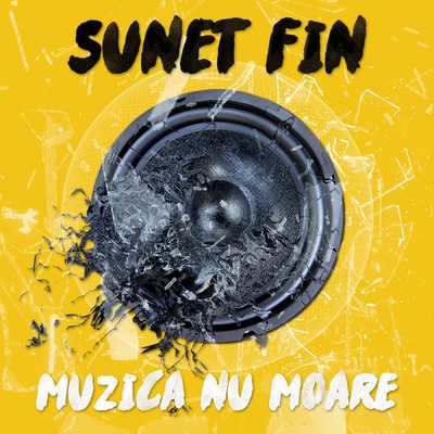 シングル/Muzica nu moare/Sunet Fin