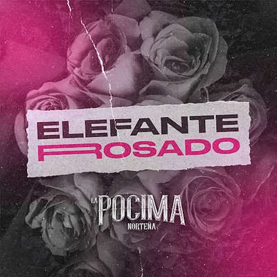シングル/Elefante Rosado/La Pocima Nortena