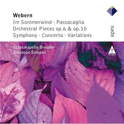 アルバム/Webern : Im Sommerwind, Orchestral Works & Variations/Giuseppe Sinopoli