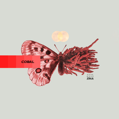 アルバム/Coral (Explicit)/Sina