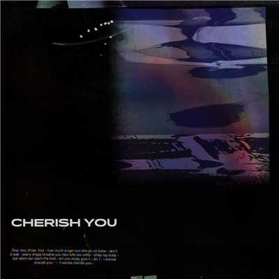 シングル/Cherish You/Mikky Ekko