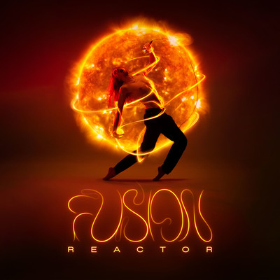 Fusion Reactor/Zigan Krajncan