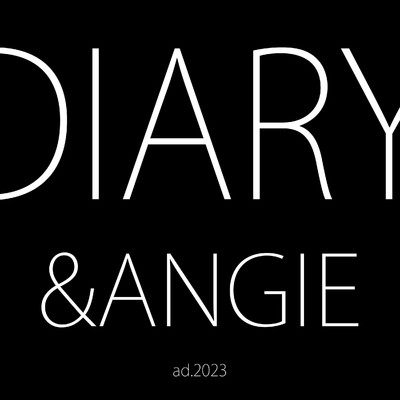 アルバム/The DIary/&ANGIE