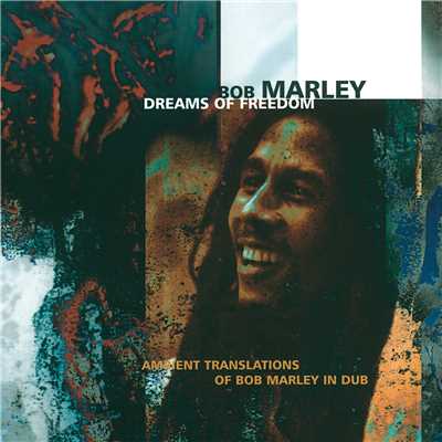 Waiting In Vain (Bill Laswell Remix)/Bob Marley & The Wailers