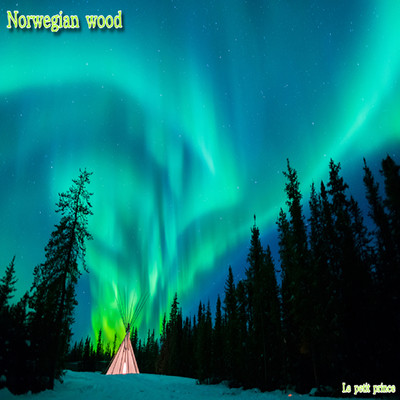 アルバム/Norwegian wood/Piano Novel