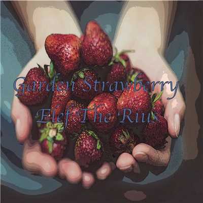 Garden Strawberry/Elef The Rius