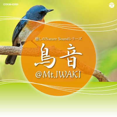 シングル/癒しのNature Soundシリーズ 鳥音＠Mt.IWAKI:岩木山中腹にて＜鳥の声＞/コロムビア・サウンド・アーカイブス