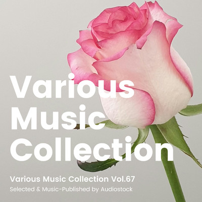 アルバム/Various Music Collection Vol.67 -Selected & Music-Published by Audiostock-/Various Artists