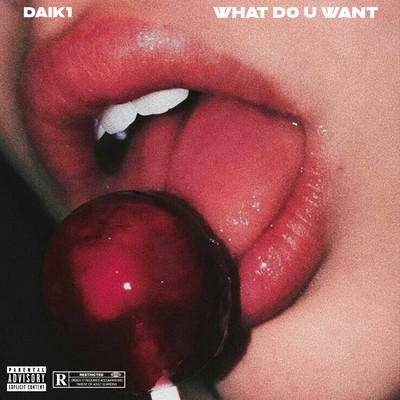 シングル/WHAT DO U WANT/Daik1