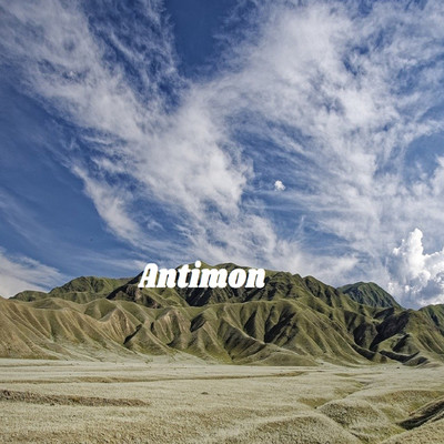 アルバム/Antimon/elvinenichols