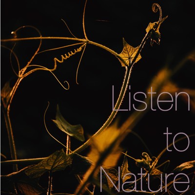 アルバム/Listen to Nature リラックス・集中・環境音/寧