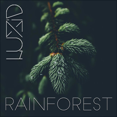 Rainforest/Luzid