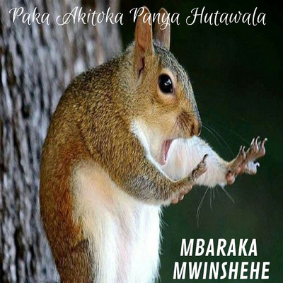 アルバム/Paka Akitoka Panya Hutawala/Mbaraka Mwinshehe