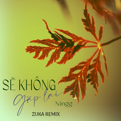 シングル/Se Khong Gap Lai (Zuka Remix)/Ningg
