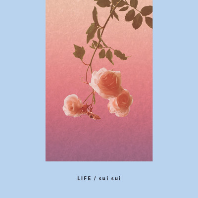 アルバム/LIFE/sui sui