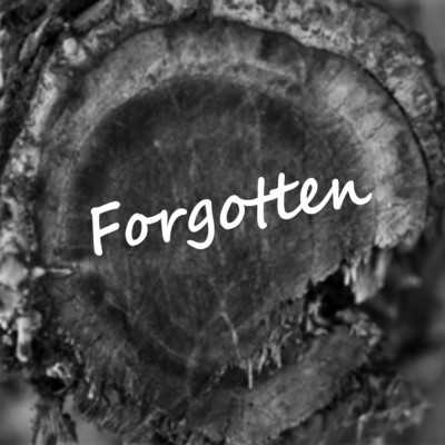 Forgotten/Dispawn