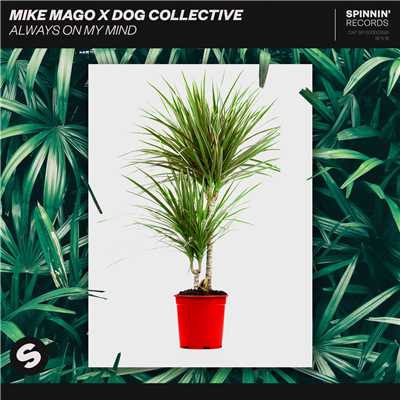 アルバム/Always On My Mind/Mike Mago x Dog Collective