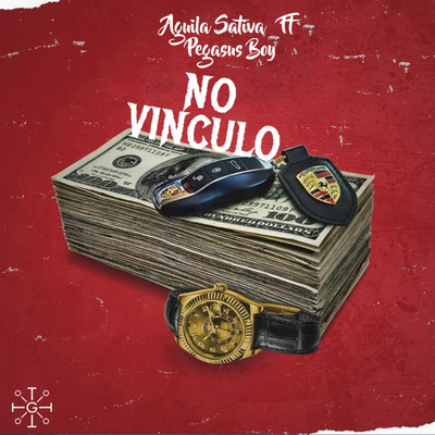 No Vinculo (feat. Pegasus Boy)/Aguila Sativa