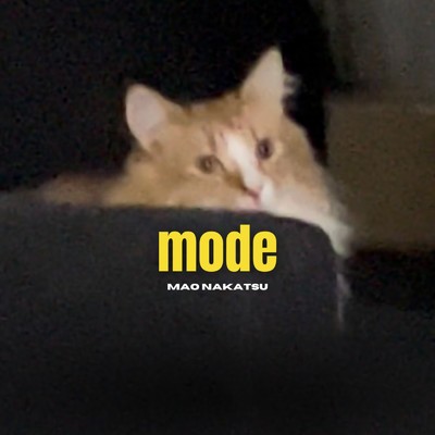 mode/中津マオ