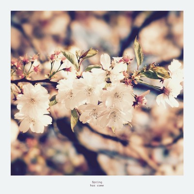 Spring has come/Hiroyuki Kondo
