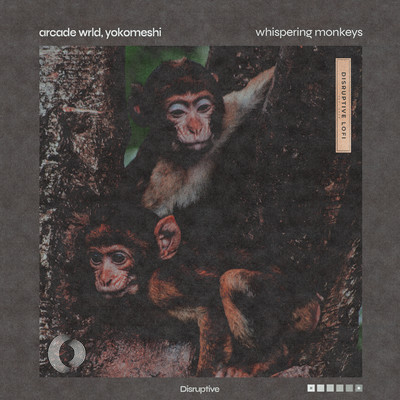 シングル/Whispering Monkeys/Arcade Wrld／Yokomeshi／Disruptive LoFi